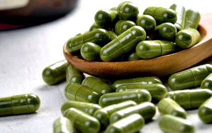 500mg moringa