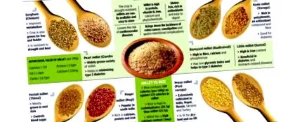 nativefoodstore