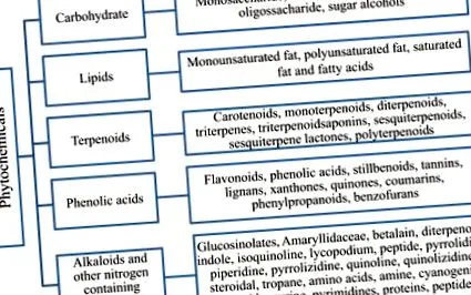 огляд огляд ScienceDirect