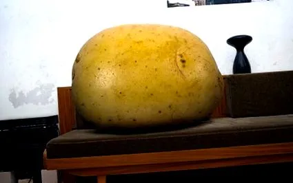 знищення