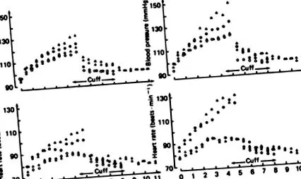 вправа огляд