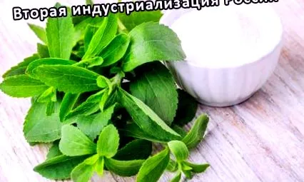 стевія природний
