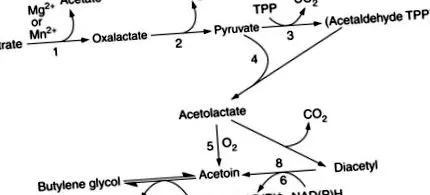 огляд sciencedirect