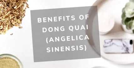 angelica dong