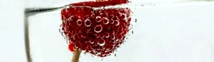 води токсинів Défi продукти морській