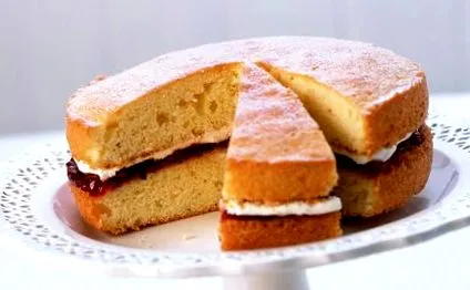 губки