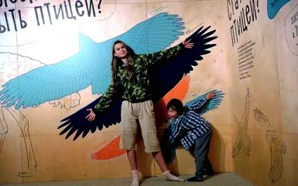 птиці