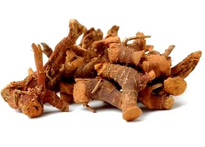 вражаючих galangal