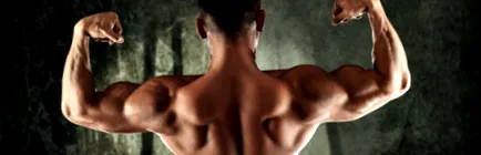 whey casein