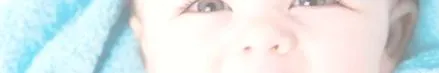 mustela