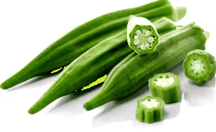лектину лектину
