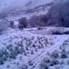 користь голодний