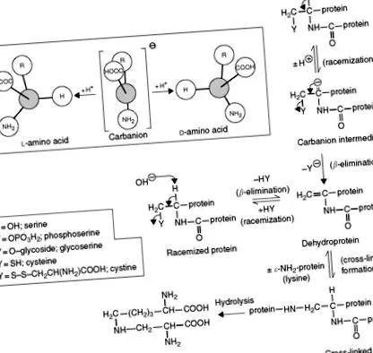 sciencedirect alkáli