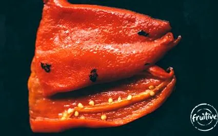 плідний плідний