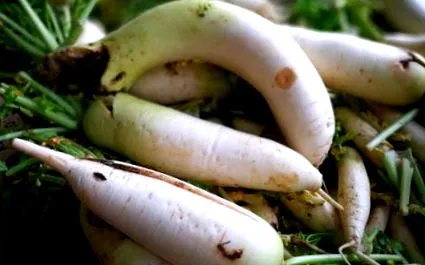 daikon