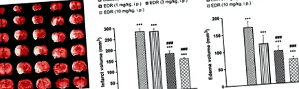 kínál neuroprotektálást
