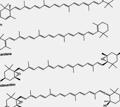 sciencedirect