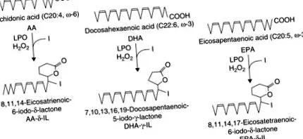 sciencedirect homogenátum