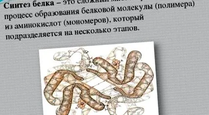 експлуатації l-тироксин