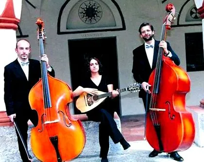 Mandocello mérések