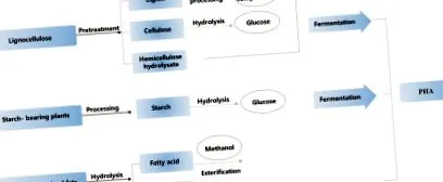 élelmiszer-hulladék bioplasztik