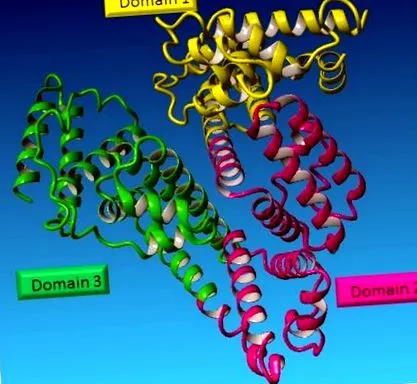 albumin