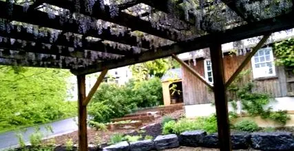 кульбаби