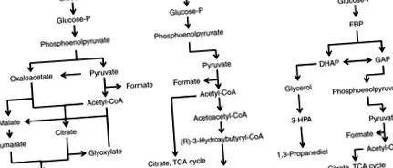 sciencedirect