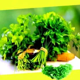 користь петрушки