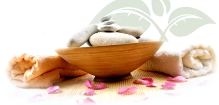 шкіри