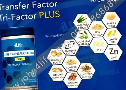 factor