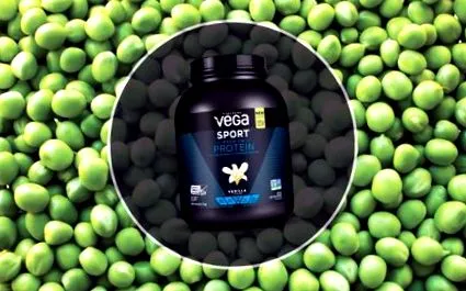 vega sport