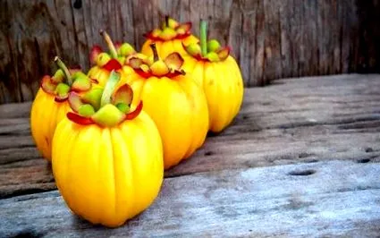 garcinia