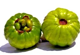 vásároljon