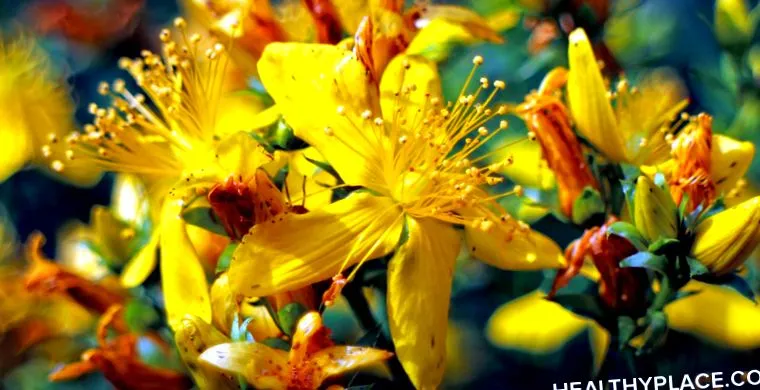 Hypericum perforatum контрольоване дослідження