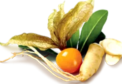 haritaki lehyam