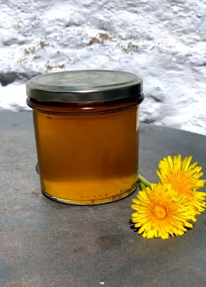 веганів