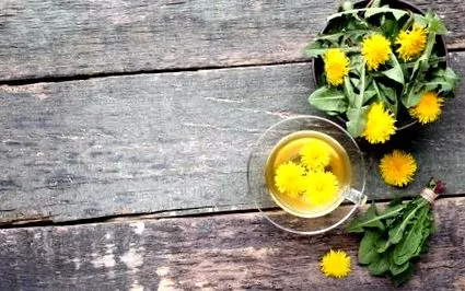 кульбаб небезпеки