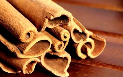 кориця