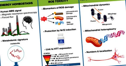 energiagazdálkodás metabolizmus