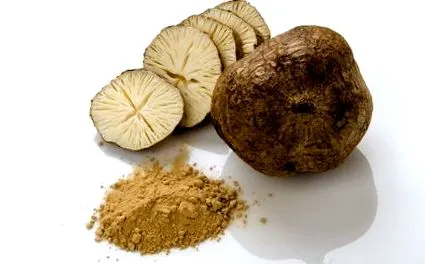 pueraria