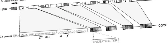 áttekintés áttekintés ScienceDirect témákról