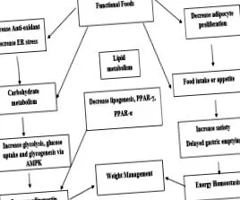 elhízás sciencedirect