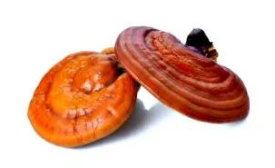 лікувати може