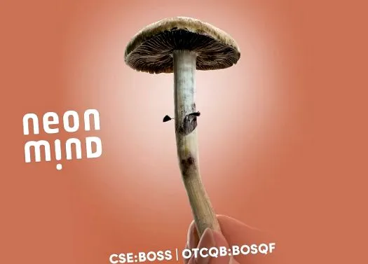 довести