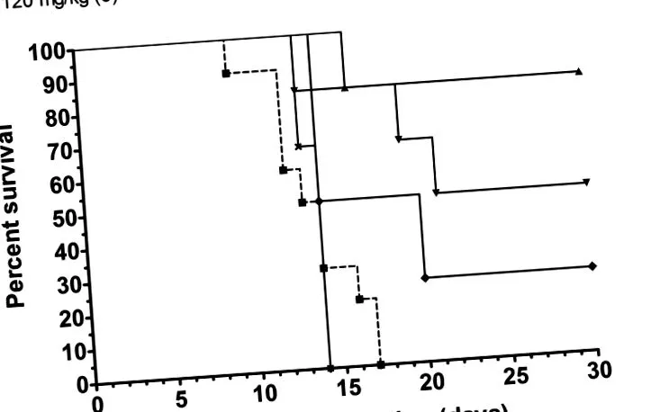 juvenilis juvenilis