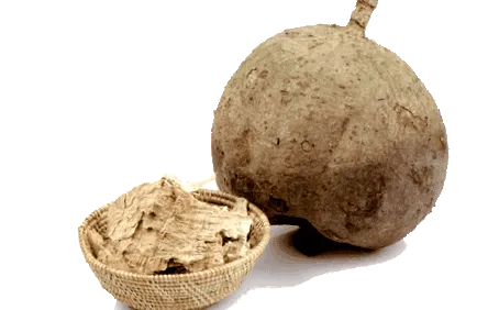наука