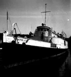 лінна