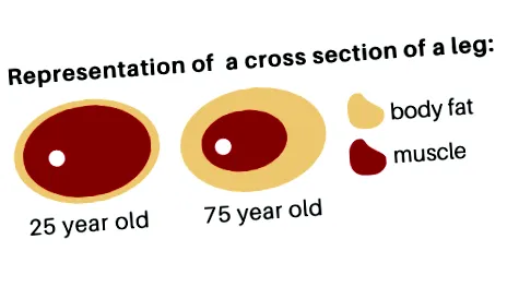 літніх літніх