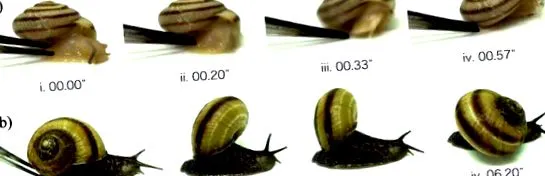 огляд ScienceDirect